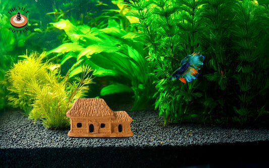 In a freshwater aquarium with dark gravel and lush green plants, a small terracotta stilt house sits peacefully. A vibrant Betta fish with blue and orange fins swims gracefully nearby.