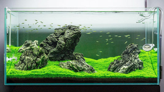 Natural Aquarium Decorations - Rocks and Green Plants materail aquarium decoration