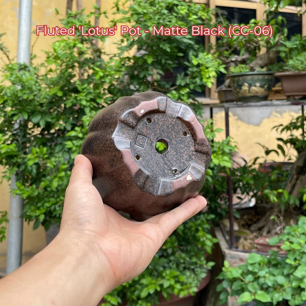 Fluted 'Lotus' Pot - Matte Black (CC-06)
