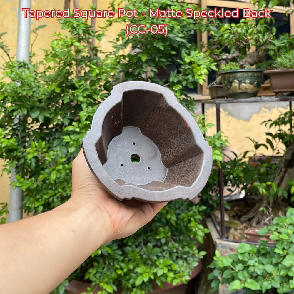 Tapered Square Bonsai Pot (CC-05)