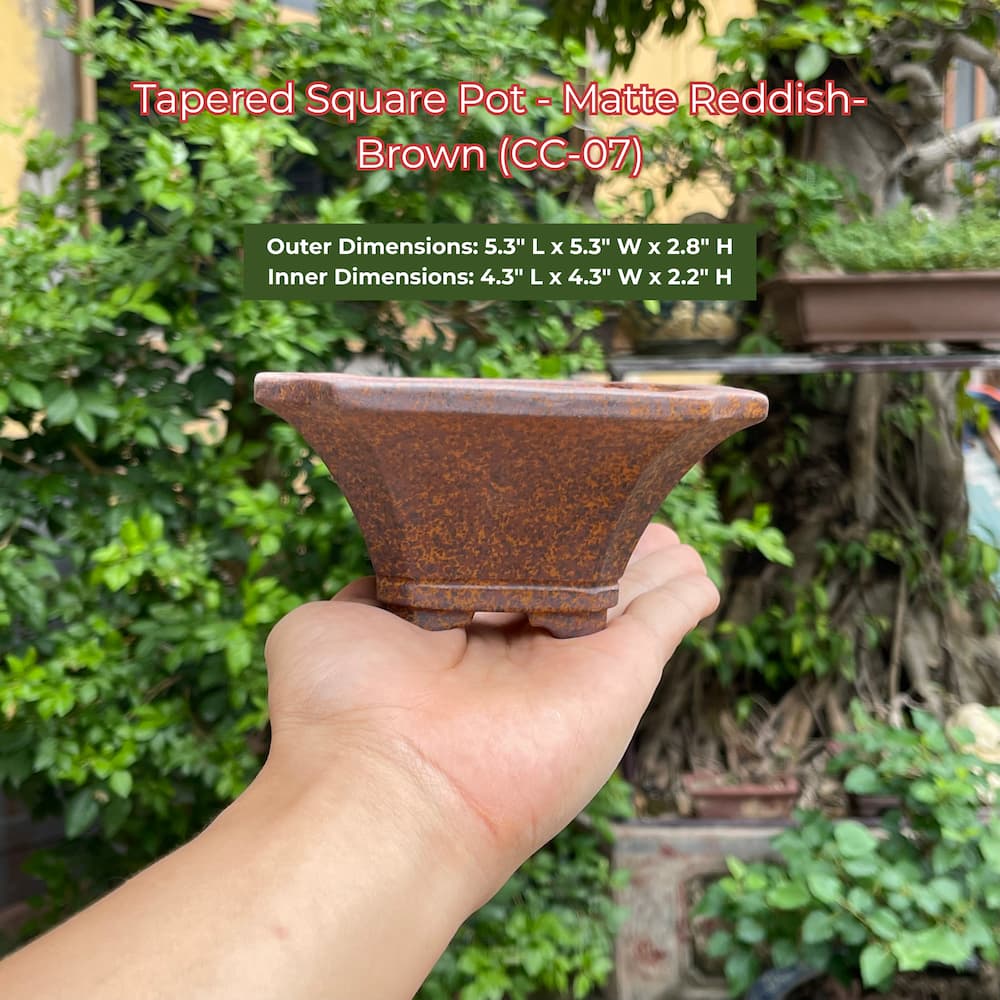 Tapered Square Bonsai Pot | Handmade Ceramic Pots