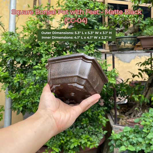 Square Bonsai Pot with Feet - Matte Black (CC-04)