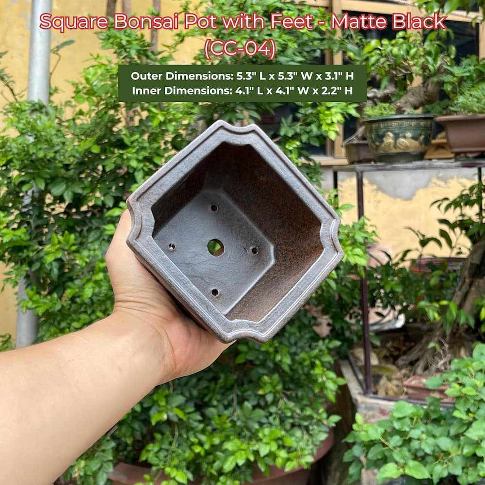 Square Bonsai Pot with Feet - Matte Black (CC-04)