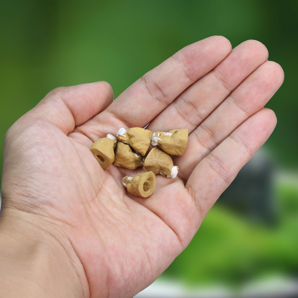 A person holds 6 miniature figurines of bonsai decor.