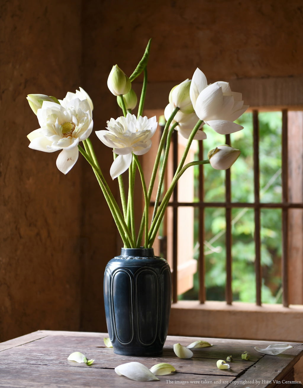 This blue ceramic vase, an artisan ceramic vase, holds white lotus flowers by a rustic window.