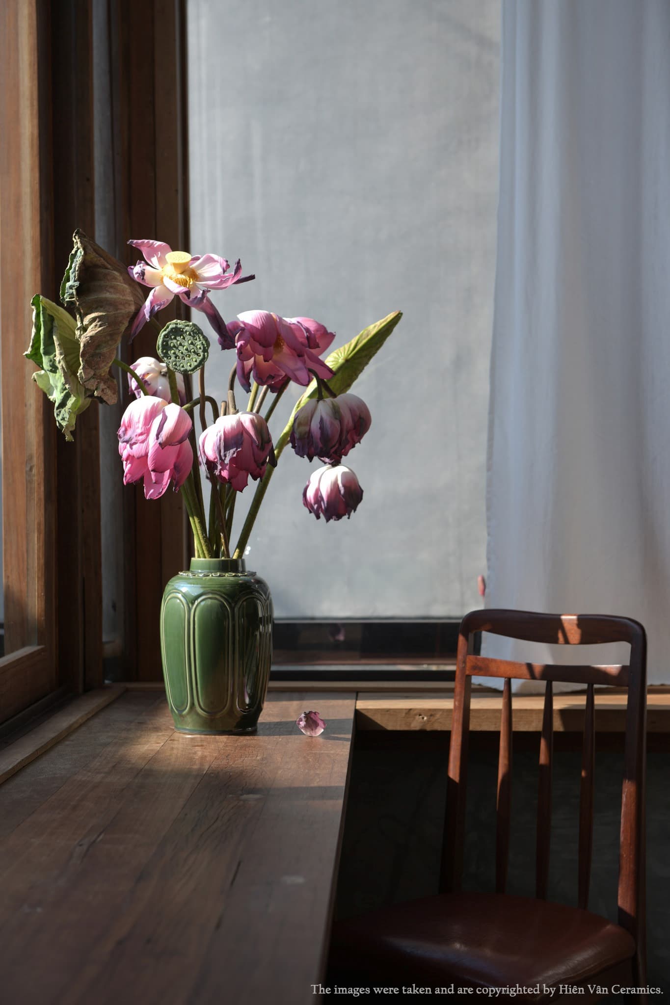 A green Vietnamese ceramic vase with wilting pink lotus on a sunny wooden windowsill.