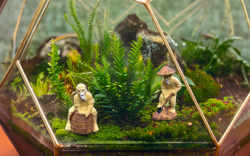 Inside a geometric glass terrarium, a miniature ceramic fisherman sits patiently beside his basket trap, surrounded by lush ferns and moss, creating a serene scene of Vietnamese countryside life.