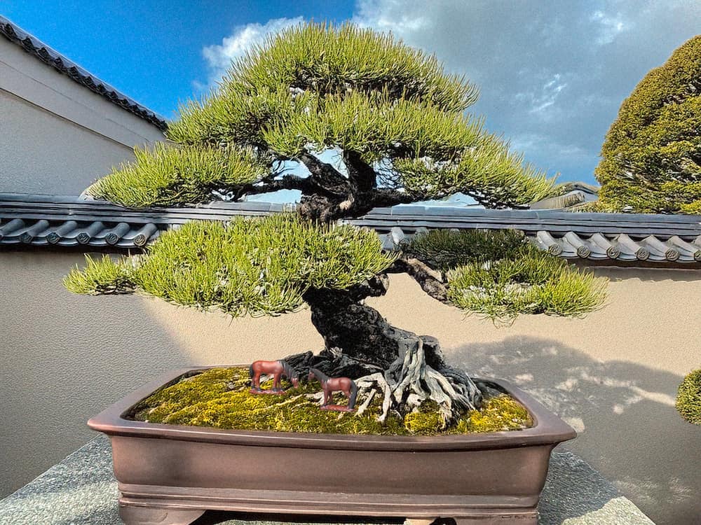Two small ceramic horses graze beneath a bonsai tree in a large bonsai pot, with a traditional Japanese wall in the background.