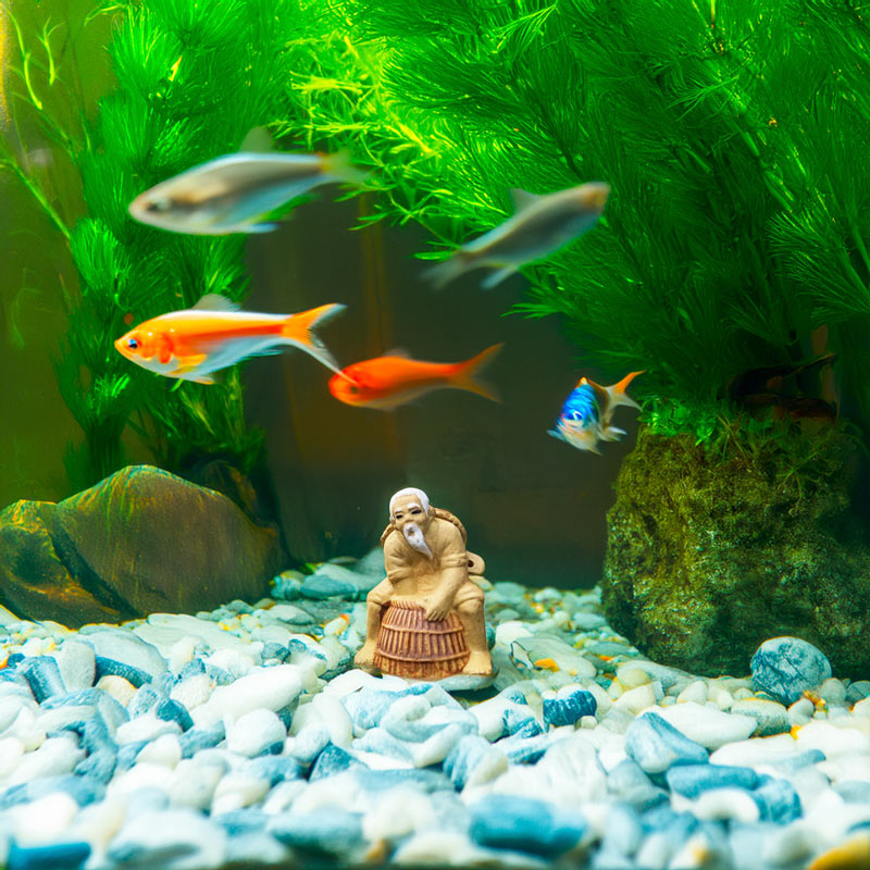 In a tranquil aquarium, amidst colorful fish and vibrant greenery, a miniature Mudman figurine sits peacefully by his basket trap, adding a touch of Vietnamese charm.