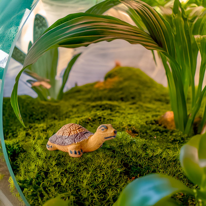 A miniature ceramic turtle, hand-painted with earthy tones, peeks out from under lush green foliage, adding a touch of Vietnamese artistry to this miniature ecosystem.