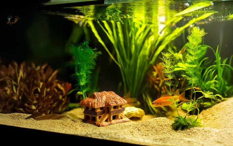 A tiny Vietnamese stilt house, crafted from earthy brown ceramic, sits nestled amongst the sand and lush green plants of a peaceful aquarium, creating a serene and unique underwater scene.