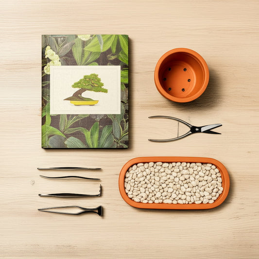 A flat lay of gifts for bonsai lovers: one of our bonsai books recommended and essential tools. 