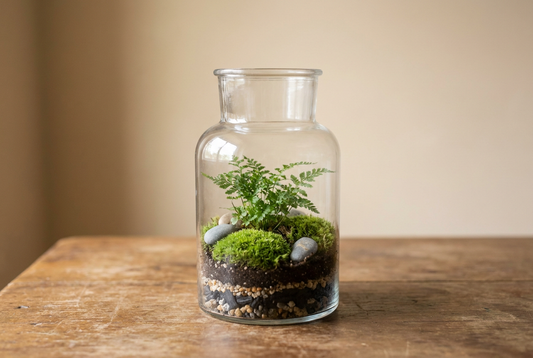 A restrained miniature woodland terrarium with one focal plant, fine textures, and open glass space.