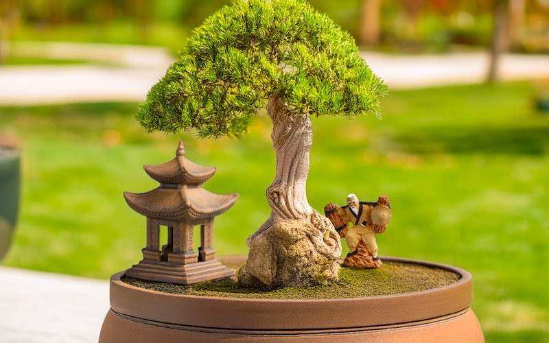 Authentic Mudmen Figurines: Bringing Zen to Your Bonsai