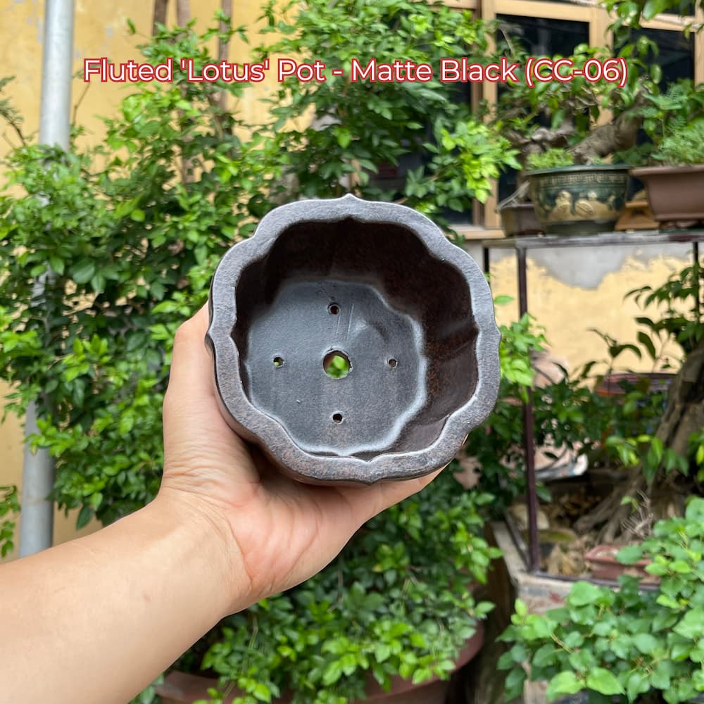 Fluted 'Lotus' Pot - Matte Black (CC-06)