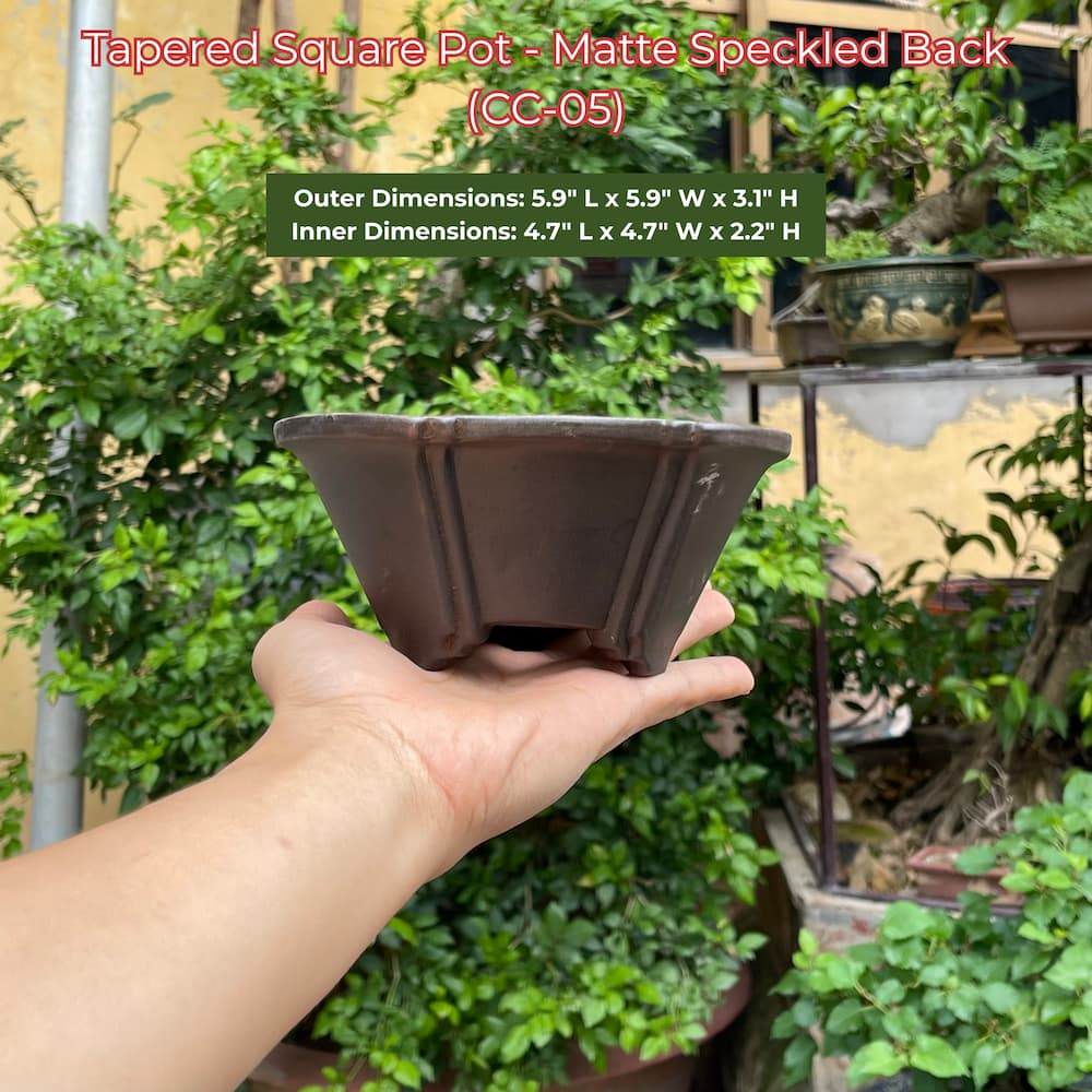 Tapered Square Bonsai Pot (CC-05)