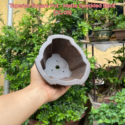 Tapered Square Bonsai Pot (CC-05)