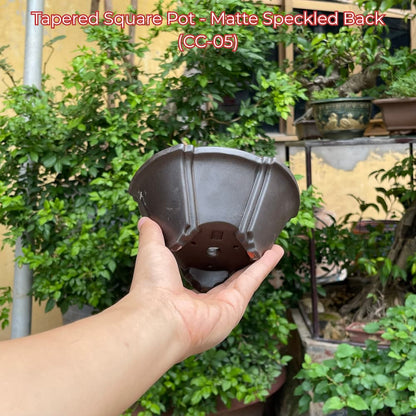 Tapered Square Bonsai Pot (CC-05)