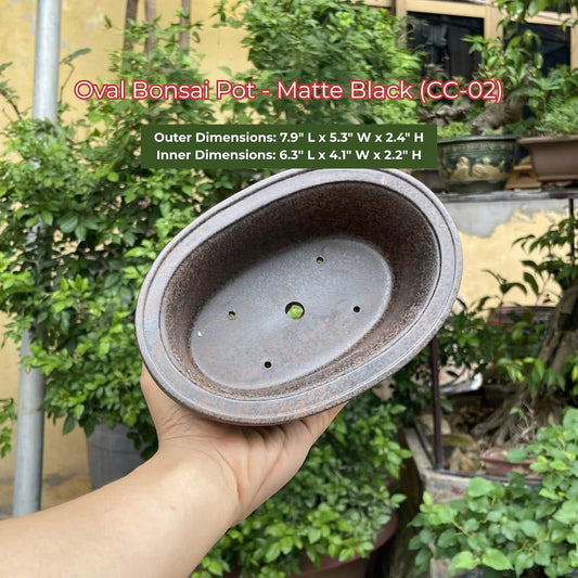 Oval Bonsai Pot | Matte Black Ceramic (CC-02)