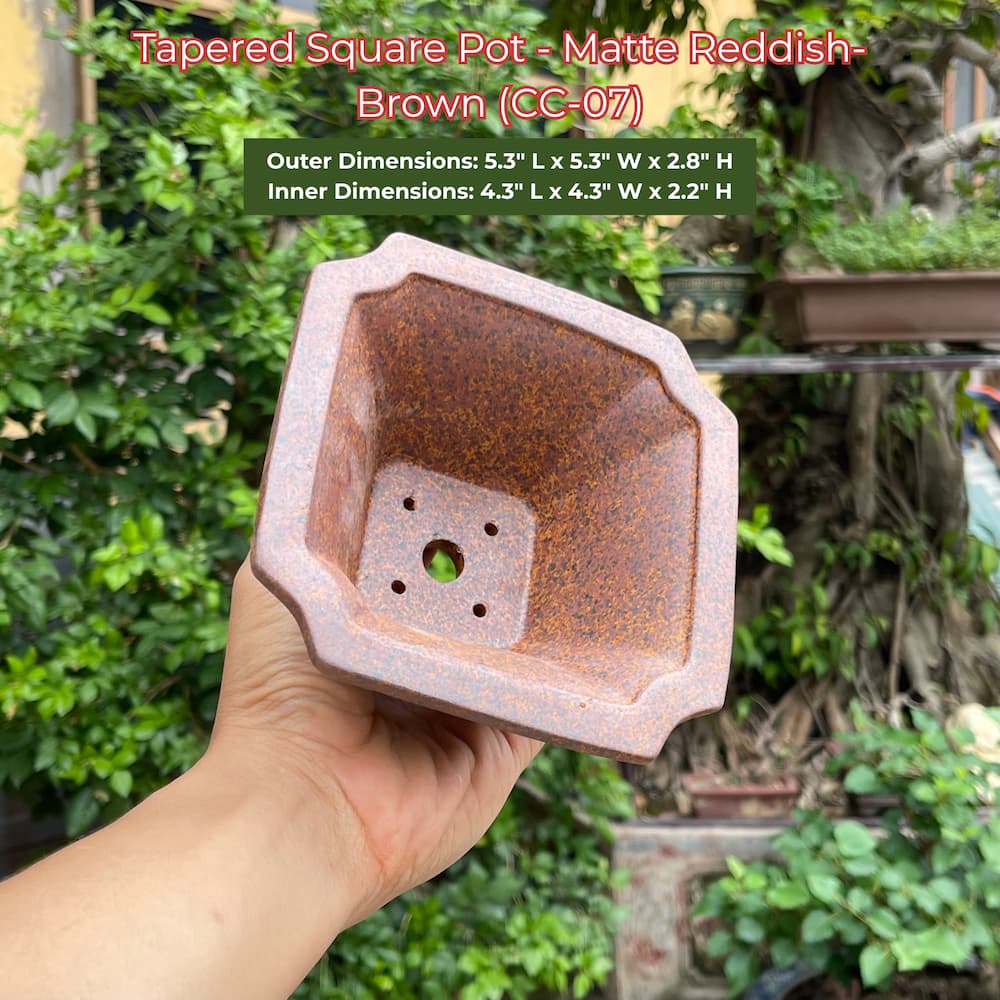 Tapered Square Bonsai Pot | Handmade Ceramic Pots