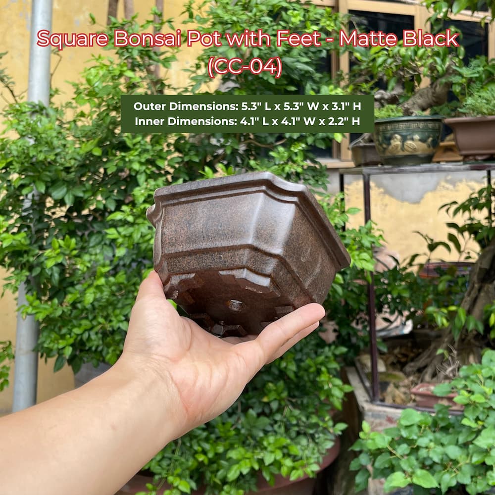 Square Bonsai Pot with Feet - Matte Black (CC-04)