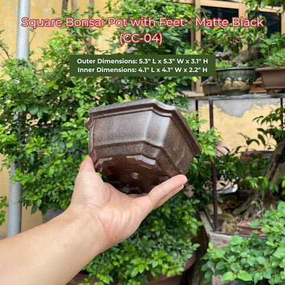 Square Bonsai Pot with Feet - Matte Black (CC-04)
