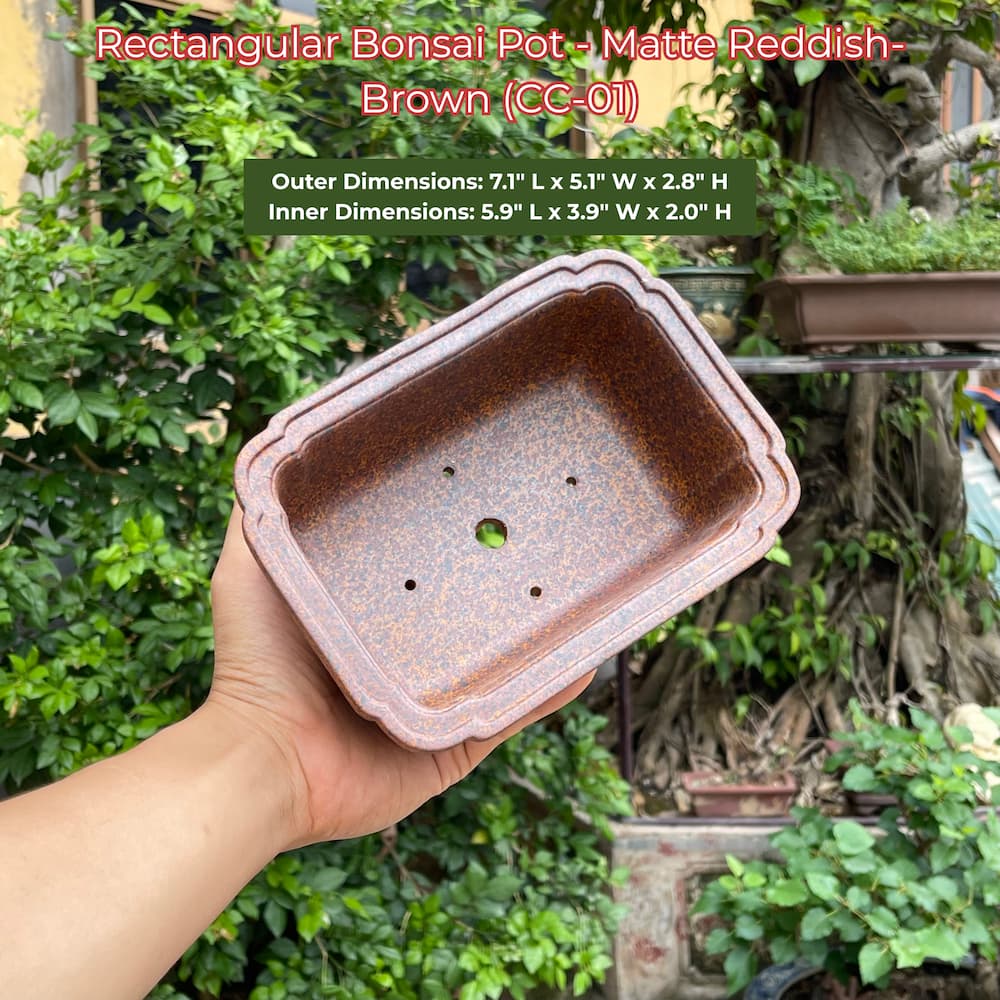 Rectangular Bonsai Pot | Matte Reddish-Brown Ceramic