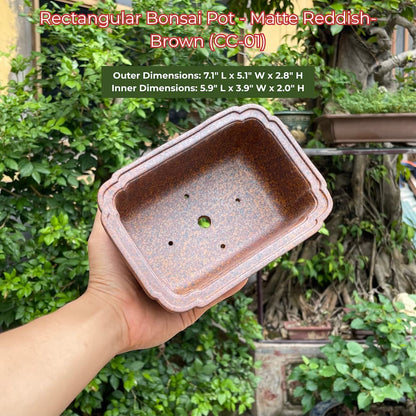 Rectangular Bonsai Pot | Matte Reddish-Brown Ceramic