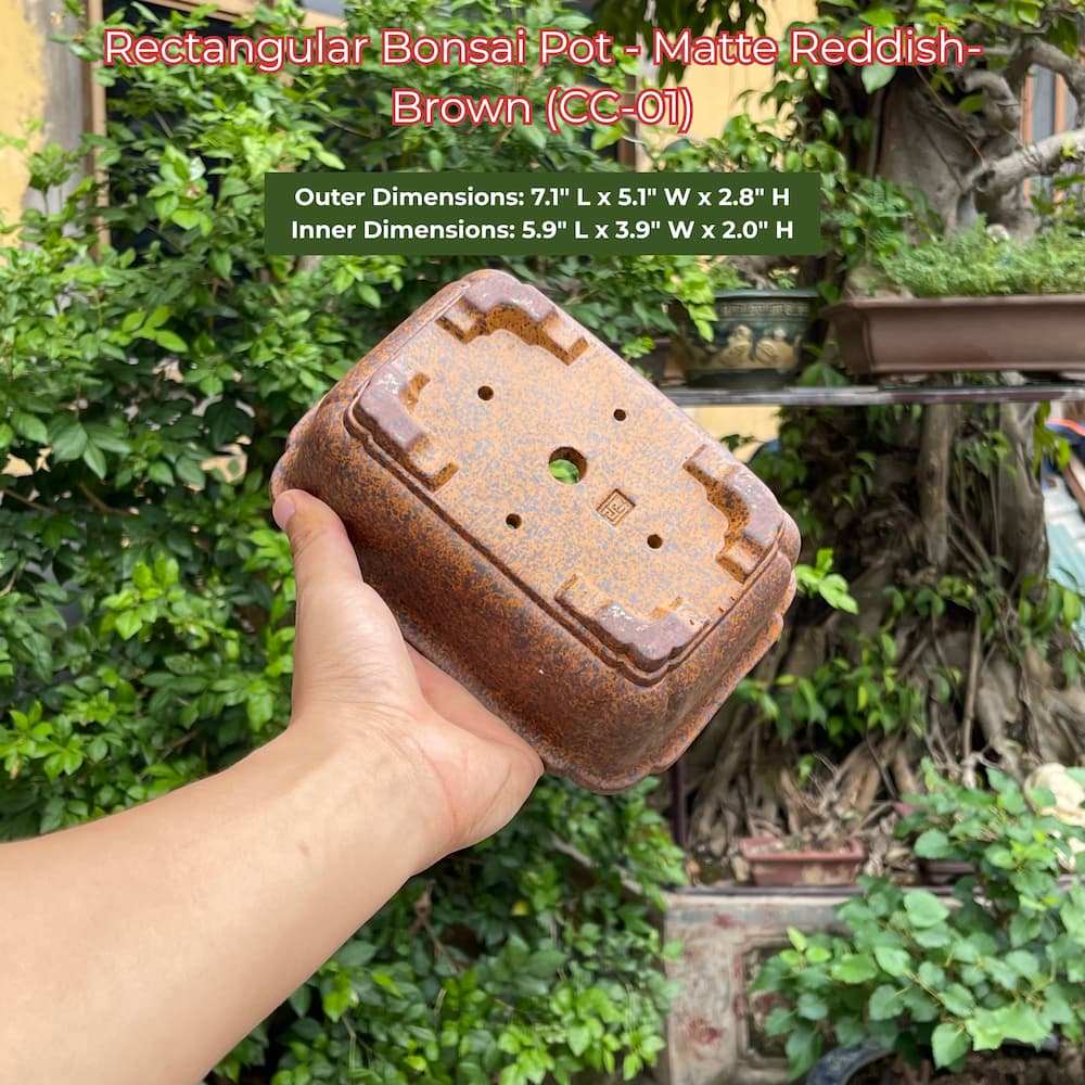 Rectangular Bonsai Pot | Matte Reddish-Brown Ceramic