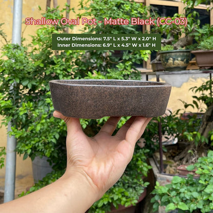 Shallow Oval Bonsai Pot - Matte Black (CC-03)