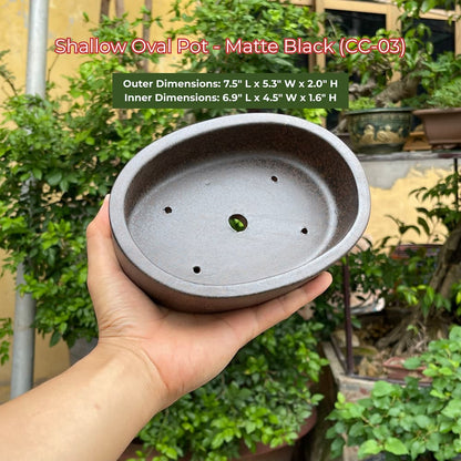 Shallow Oval Bonsai Pot - Matte Black (CC-03)