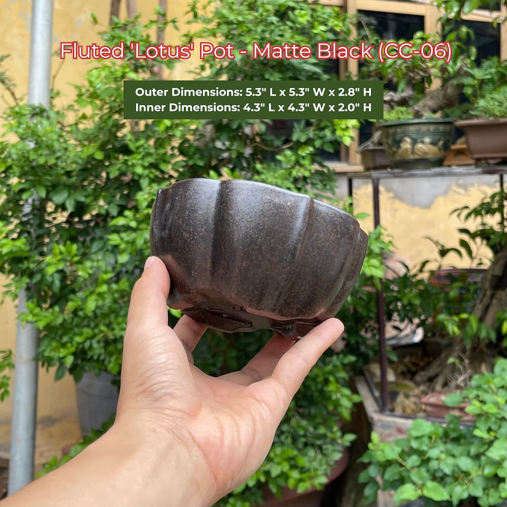 Fluted 'Lotus' Pot - Matte Black (CC-06)
