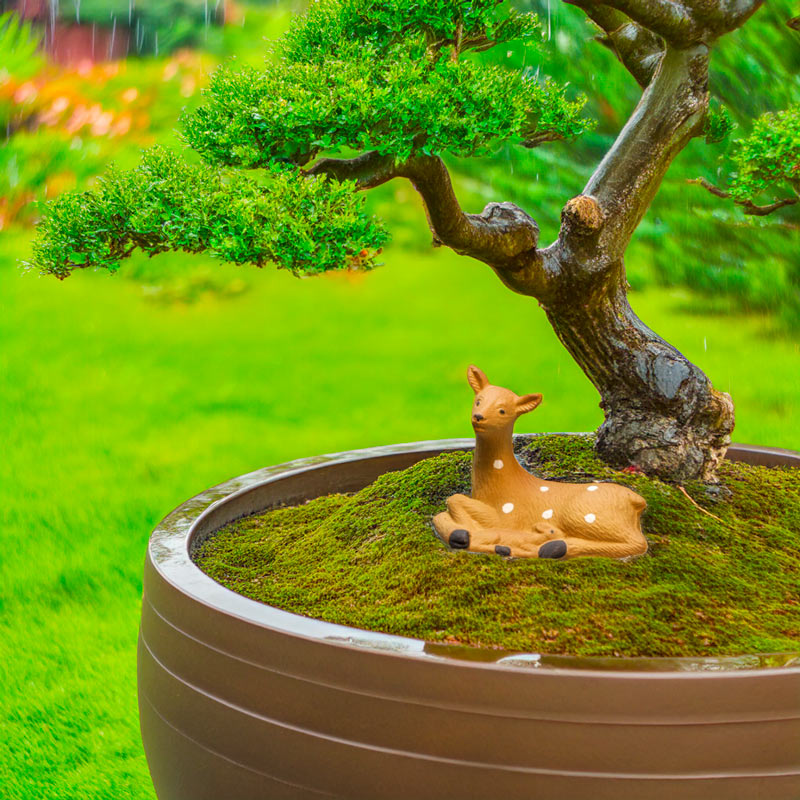 Sheltering beneath a graceful bonsai tree, a miniature ceramic deer adds a touch of serenity to this miniature landscape.