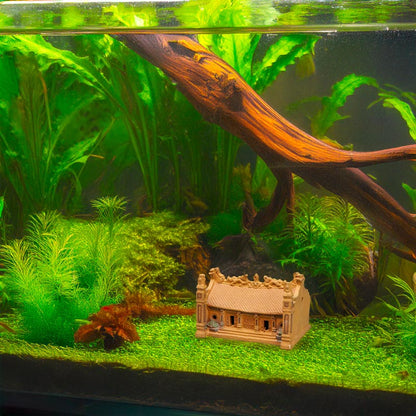 Nestled amongst lush greenery and driftwood in a serene aquarium, a miniature Vietnamese house creates a captivating focal point, bringing a touch of exotic charm to this underwater world.