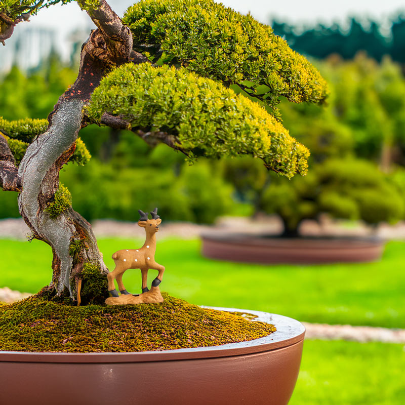  A graceful miniature deer, crafted from fine Bat Trang ceramics, stands beneath the canopy of a majestic bonsai tree, adding a touch of elegance to this miniature world.