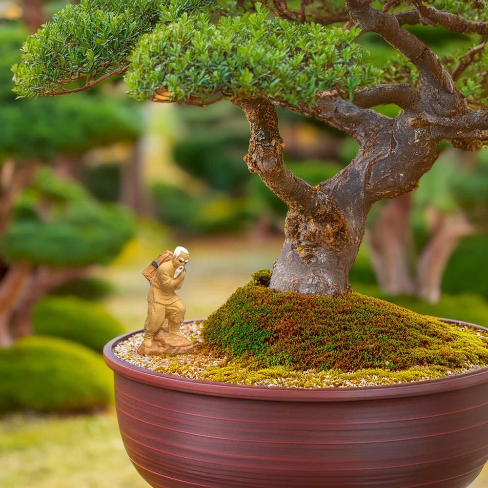  A small, ceramic mudman figurine stands on a rock beside a bonsai tree in a pot.