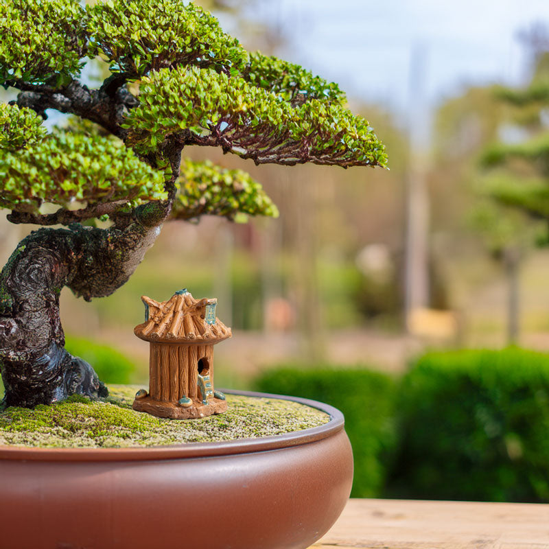 Nestled at the base of a majestic bonsai, a miniature ceramic treehouse, crafted with meticulous detail, adds a touch of fairytale charm to this miniature zen garden.