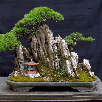 A small red ceramic pagoda sits at the base of a bonsai tree.