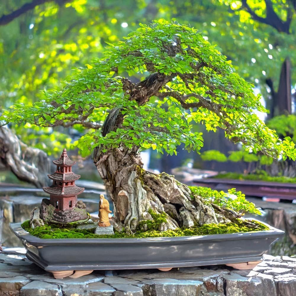 木製彫刻 置物 BONSAI Miniature Pagoda Tower + Bonus Figurine | Bonsai & Zen Garden