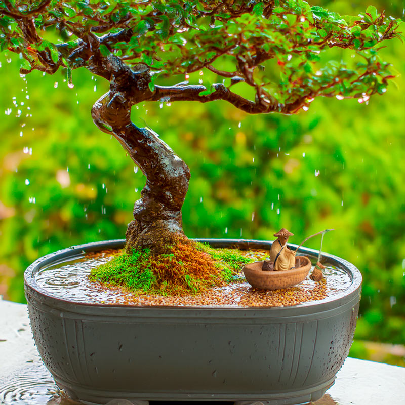  Beneath a bonsai tree, a miniature ceramic fisherman patiently awaits a catch, creating a serene scene inspired by Vietnamese culture and perfect for a zen garden.