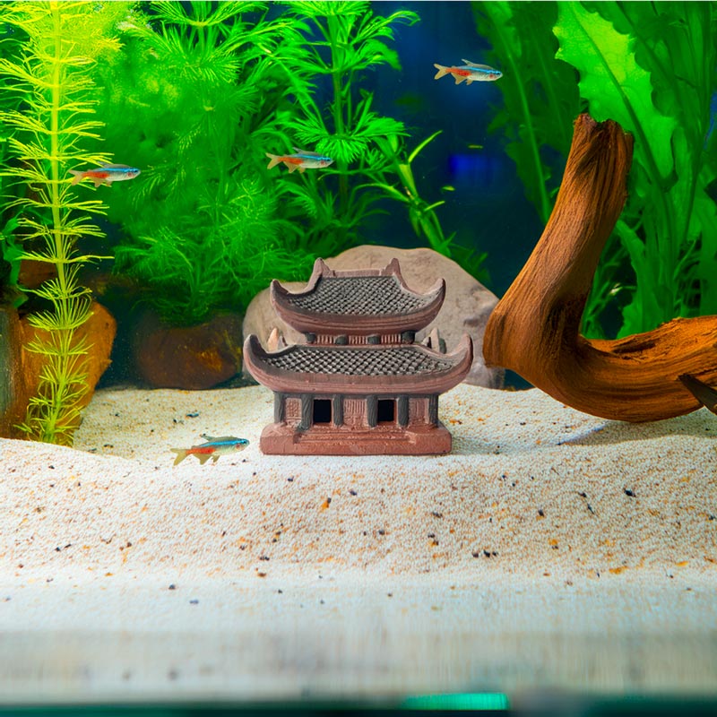 This miniature ceramic pagoda, nestled amongst lush greenery and sandy substrate, creates a captivating underwater landscape, perfect for a serene and stylish aquarium.