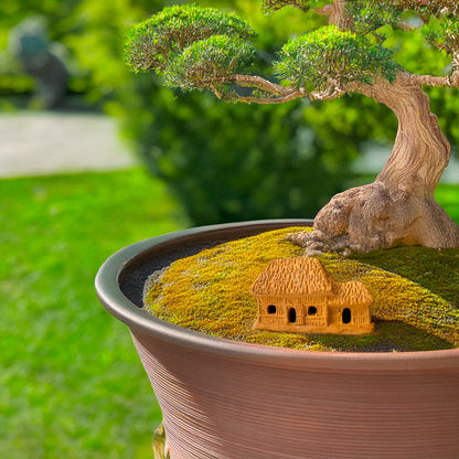 Nestled beneath a majestic bonsai tree, this miniature thatched cottage, crafted from earthy brown ceramic, adds a touch of rustic charm to this serene miniature landscape.