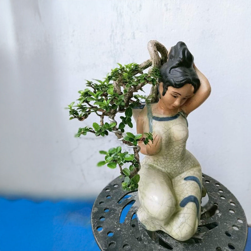 This ceramic figurine pot is a bonsai statue pot of a kneeling woman with a green bonsai tree.