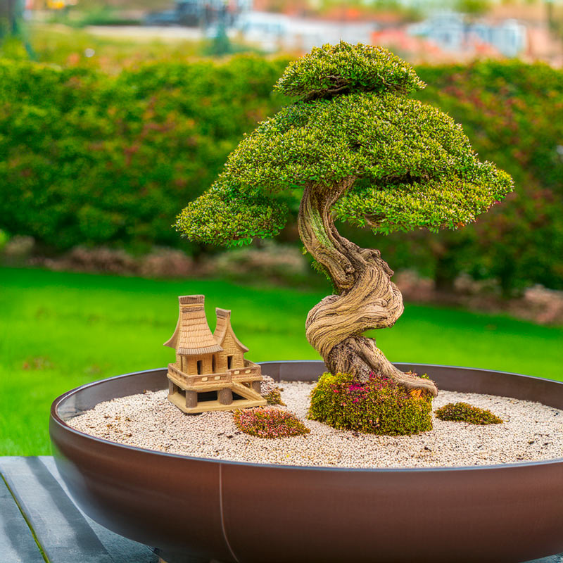  Underneath the elegant branches of a bonsai tree, a miniature ceramic stilt house stands serenely on a bed of pebbles, creating a harmonious miniature landscape.