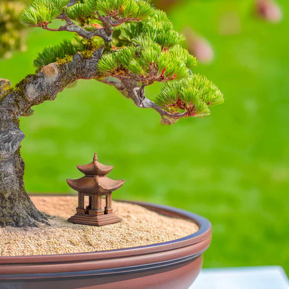  A close-up shows a small, reddish-brown miniature pagoda figurine at the base of a bonsai tree, partially covered by moss.