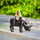 Full side view: boy peacefully rides a sturdy black buffalo statue. Great Buffalo statue Outdoor.