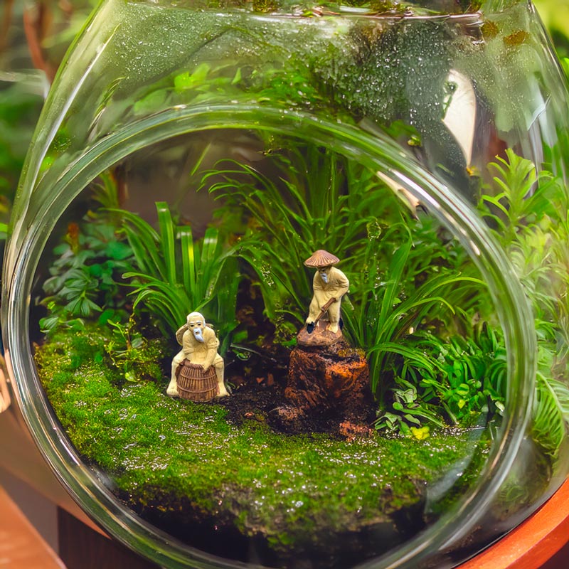 Inside a glass terrarium, two tiny Mudmen figurines, one fishing, the other gardening, bring a touch of Vietnamese folklore to this miniature world.