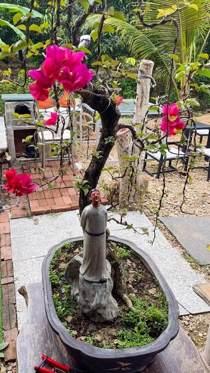 A gray Li Bai bonsai figurine stands by a flowering tree, used as a unique piece of bonsai decor.