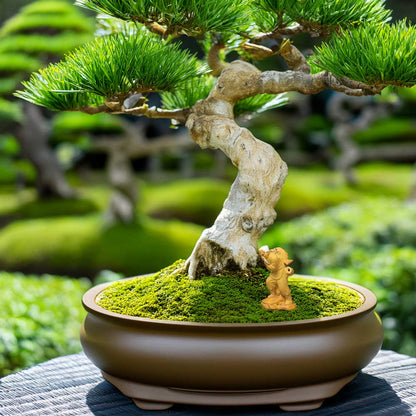 A small mudman figurine stands under a bonsai tree