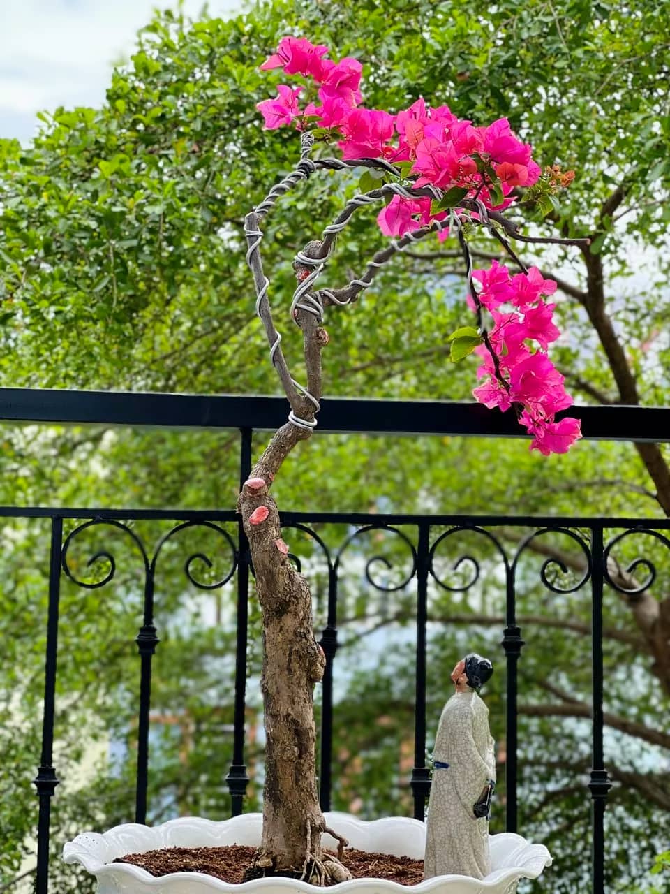 A gray ceramic figurine looks up at a tall, flowering bonsai, an excellent Bonsai decoration.